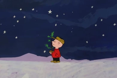8 Trees Giving Us ALL The Holiday Feels