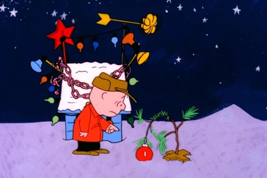 Peanuts Christmas Wallpapers 2015   Grasscloth Wallpapers