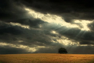 My Favorite "lone Tree And Sky" Wallpaper Images   Freewaregenius.com