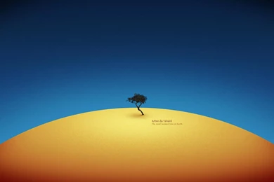 1920X1200 Wallpapers Hd   HD Wallpapers Pretty