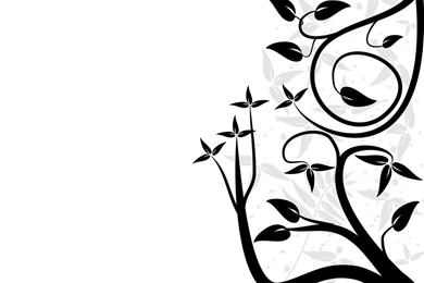 Black Backgrounds Free Hd Download : Black And White Backgrounds ...