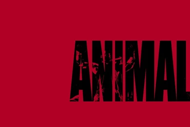 Animal Iconic Wallpapers Photo By Dozer11103