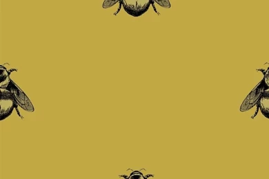 Iconic Timorous Beasties Napoleon Bee Wallpapers With Large Format ...