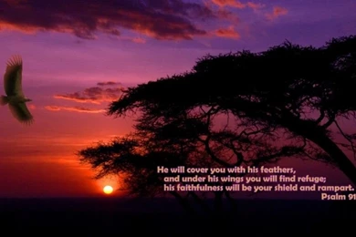 Bible Verse Desktop Wallpapers   Wallpapers Cave