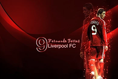 Blogdaparva: Fernando Torres Wallpapers Part 2