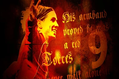 Nando   Fernando Torres Wallpapers (13105331)   Fanpop