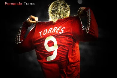 Blogdaparva: Fernando Torres Wallpapers Part 4