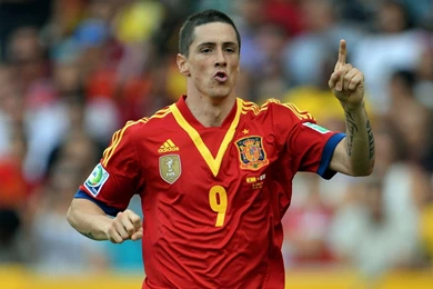 Spain squad fifa world cup 2014 hd wallpaper fernando tores ...