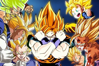 Vegeta Son Goku Trunks Son Goten Son Gohan Dragon ball Z Wallpaper.jpg