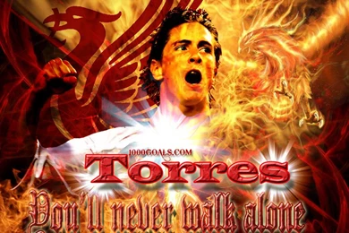 Sport Life: Fernando Torres Wallpapers And Pictures
