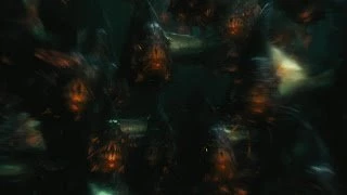 My Backgrounds Blog: Piranha Wallpapers