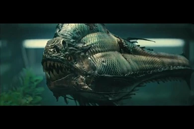 Piranha Wallpapers