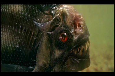 Piranha 3d Computer Wallpapers, Desktop Backgrounds