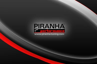 PIRANHA Performance