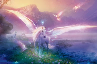 Unicorn Wallpapers Hd Free Download