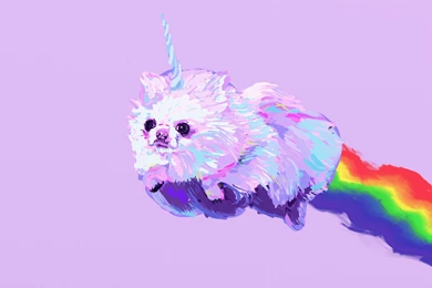 POMERANIAN Dog Dogs Fantasy Unicorn Wallpapers