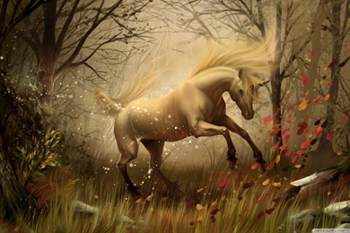 Unicorn HD Desktop Wallpapers : High Definition : Fullscreen : Mobile