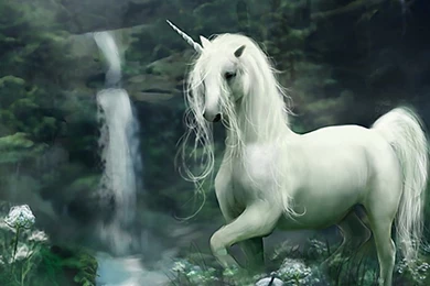 Full HD 1080p Unicorn Wallpapers HD, Desktop Backgrounds 1920x1080