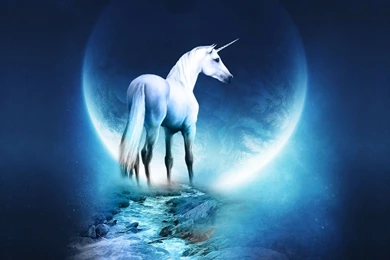 Unicorn Wallpapers   Fantasy Wallpapers