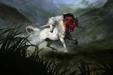 56 Unicorn HD Wallpapers