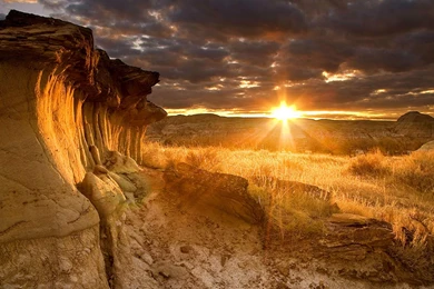 2014 07 05_DinosaurPark_ROW14347404844_1920x1080