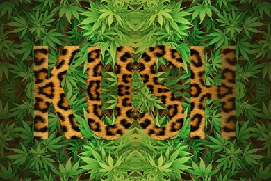 Kush Wallpapers   Wallpapers Cave