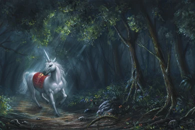 Magical Animals Unicorns Forests Fantas Unicorn Wallpapers ...