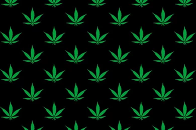 Downloads / Kush Collection