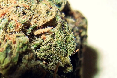 Browsing Photography On DeviantArt