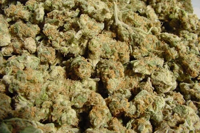 Buy Obama Kush From Greengreenergrow In MI