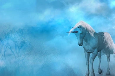 Fantasy Unicorn   Unicorns Wallpapers (4856077)   Fanpop