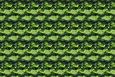 Kush Desktop Wallpapers