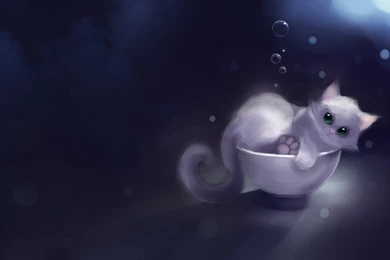 Computer Desktop Wallpapers HD 14   1523977