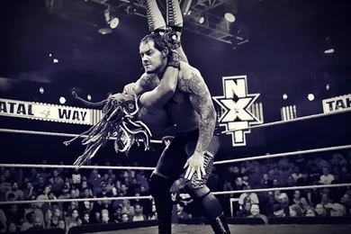 WWE NXT Diva Bayley Custom Wallpapers By BullCrazyLight On DeviantArt