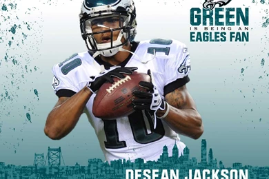 NFL Wallpapers And Football Wallpapers Page 60