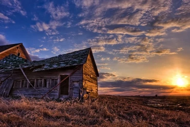 HD Wallpapers: Beautiful Collection Nature Widescreen HD Wallpapers ...