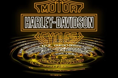 Bar And Shield On Pinterest