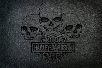 Unofficial Desktop Wallpapers~   Page 19   Harley Davidson Forums