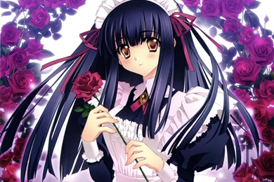 ROSE MAID WALLPAPER   (