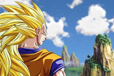 Goku   Dragon Ball Z Wallpapers   Anime Wallpapers