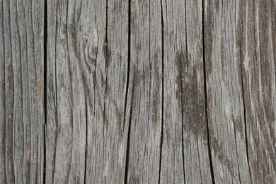 Backgrounds Wood Data We Can All Learn From