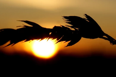 22 3840x1024 Wallpapers