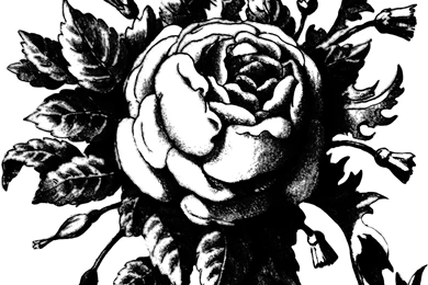 Black And White Vintage Wallpapers HD