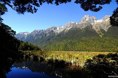 Free Wallpapers   Free Nature Wallpapers   Windows 8 Themes ...