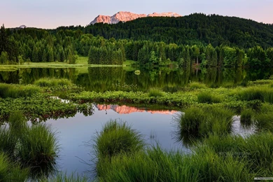 Free Wallpapers   Free Nature Wallpapers   Windows 8 Themes ...