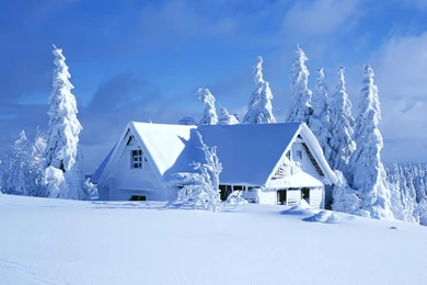 Snow Winter Wallpapers   Wallpapers Cave