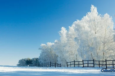 Cool Snow Backgrounds Wallpapers HD 1920x1080