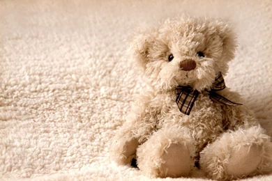25+ Romantic Teddy Bear Wallpapers