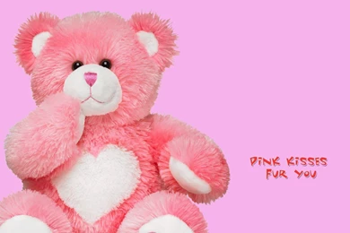 Teddy Bear Wallpapers HD Pictures