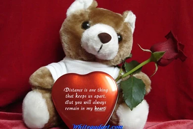 103452d1335333048 latest teddy bear wallpapers 2012 latest teddy bear wallpapers 2012 wallpaper.jpg